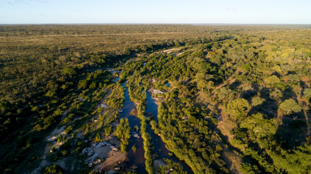 Drone-Singita-Sabi-Sand-Ross-Couper-2 resized